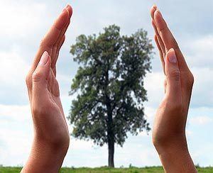 Greek Inheritance Law - inheritance law Greece